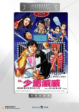 《少爷威威》：喜剧中的热血与成长，笑中带泪的青春物语