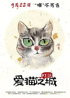 《爱猫之城英语》：猫奴必看！深入探索伊斯坦布尔猫咪的生存之道