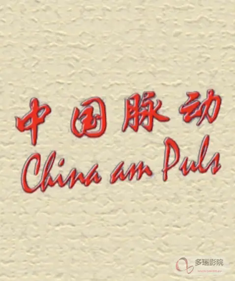 《中国脉动》：一部你绝对不能错过的震撼纪录片，见证中国社会转型！