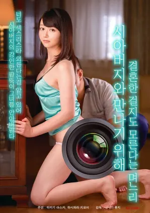 《为了见岳父而结婚的媳妇》：一场啼笑皆非的婚姻冒险，为了爱（和老丈人）能有多拼？