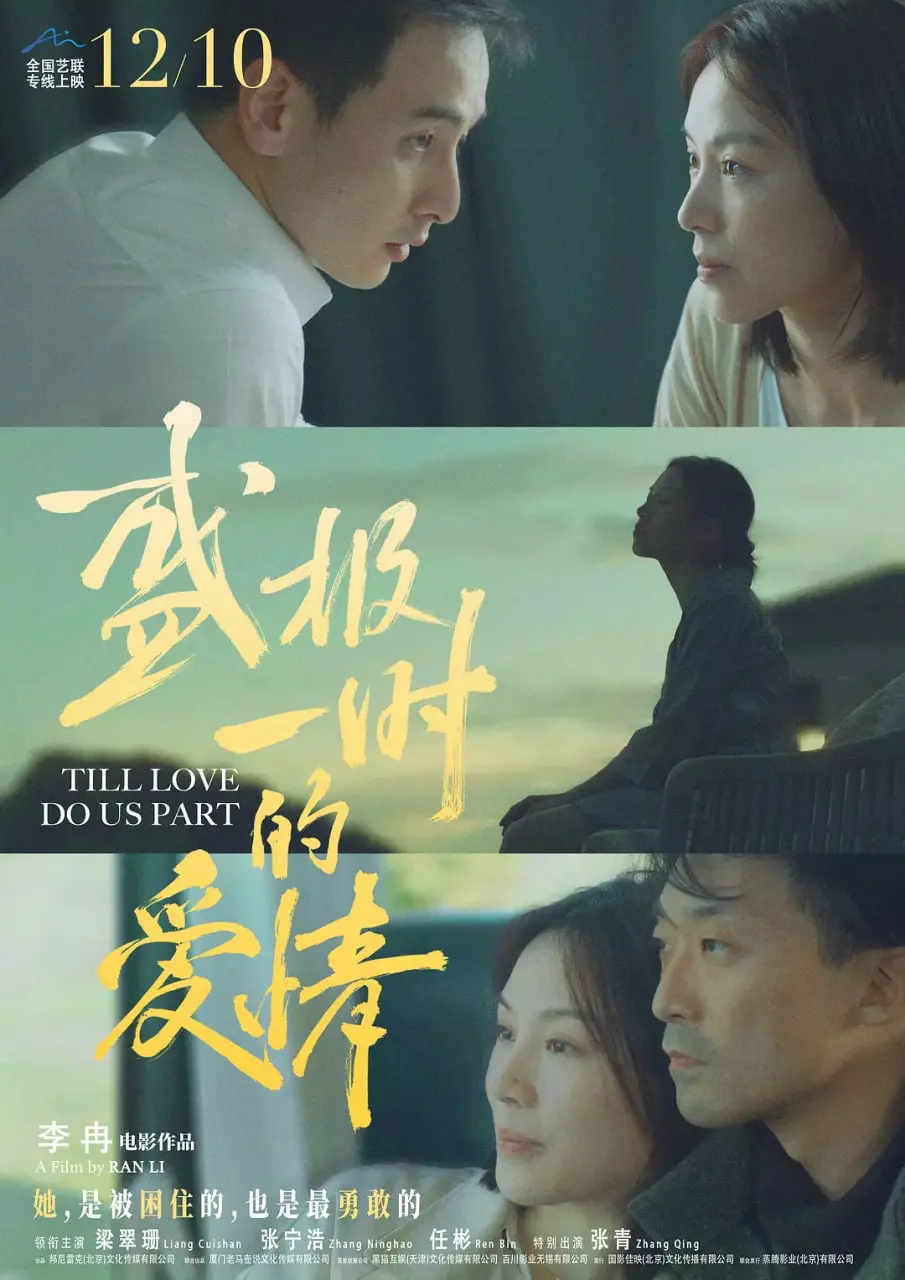 《盛极一时的爱情》：当激情燃烧殆尽，余温能否温暖余生？探讨短暂辉煌下的情感真相